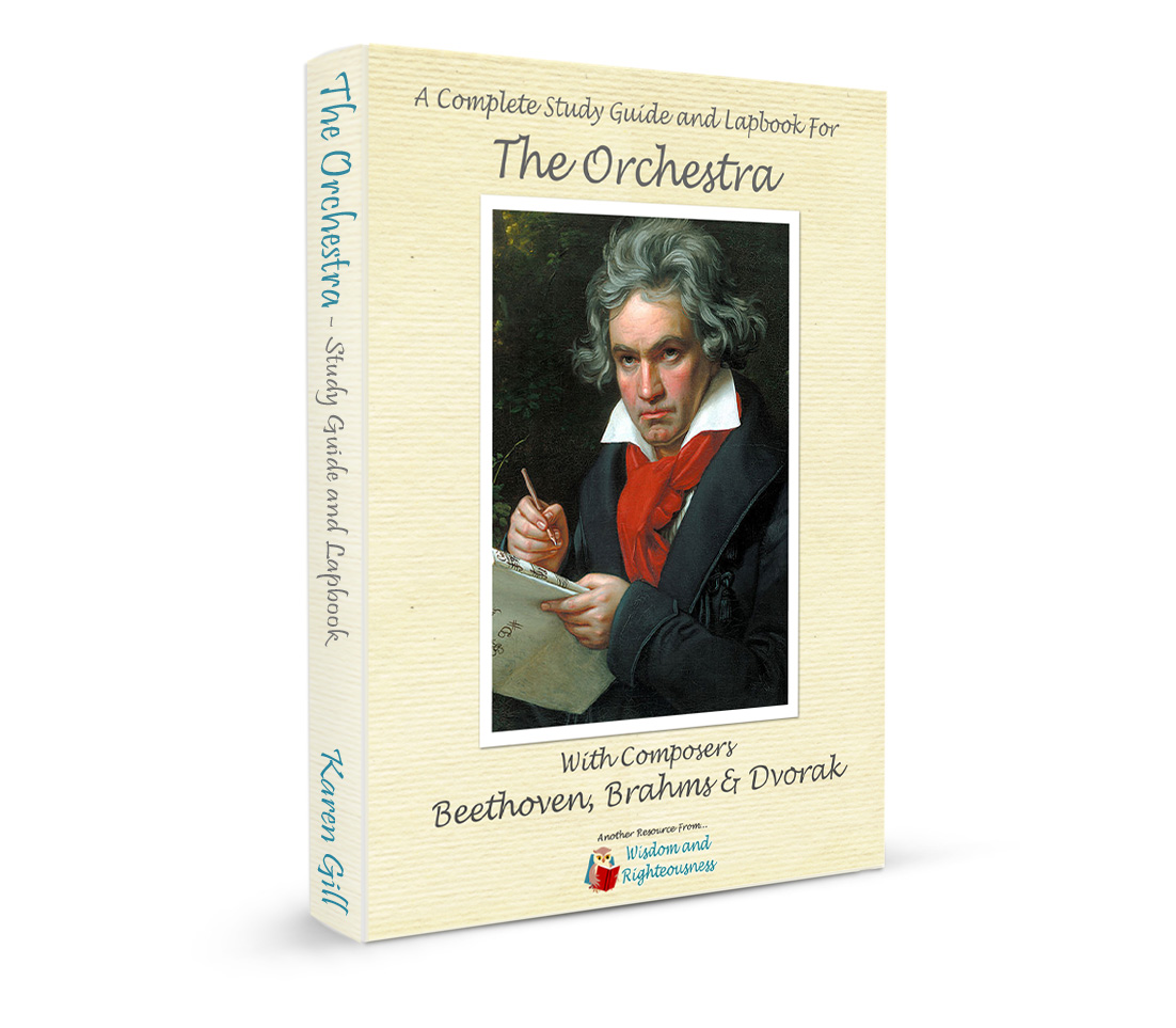 Orchestra - Beethoven, Brahms & Dvorak